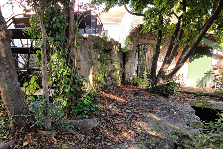 Spring Tour, 4 Days/3 Nights, Discover Provence by Electric Bike