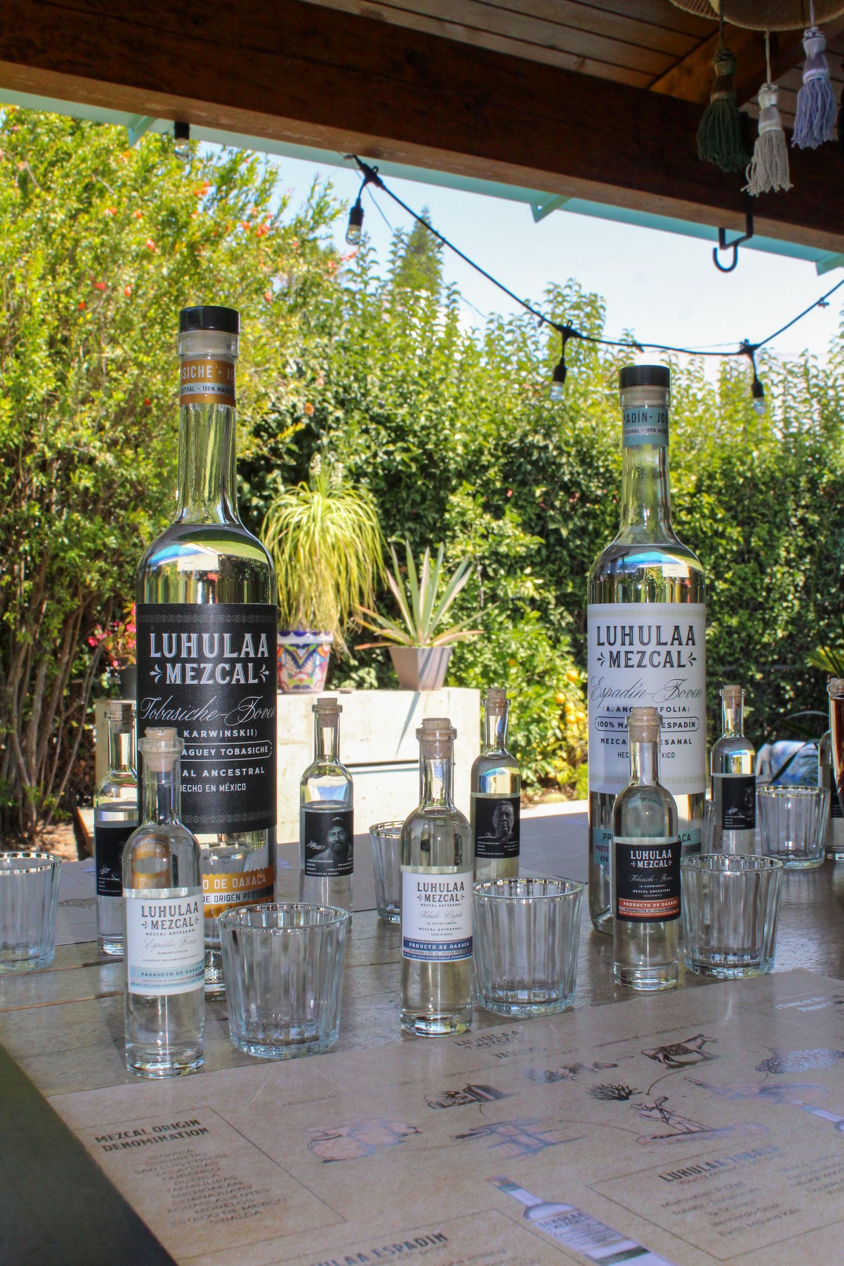 Querétaro: Verkostung von handwerklich hergestellten und traditionellen Mezcals SJR