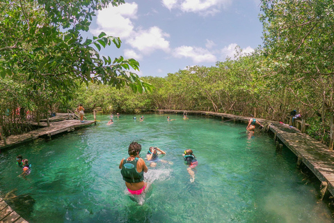 Holbox Plus+Cenote erkunden