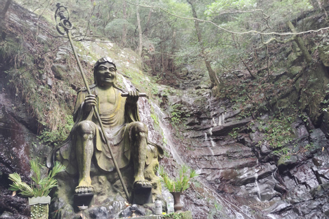 Near KIX: Shugendo Sanctuary of Waterfalls &amp; Tranquility