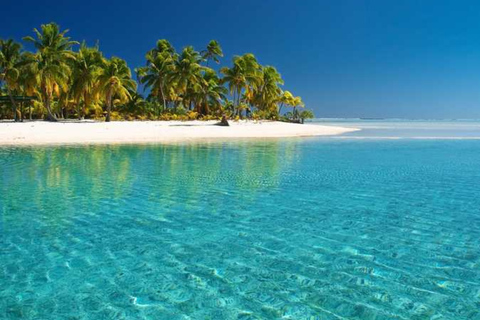Punta Cana: Saona Island Classic Tour with Lunch & Drinks