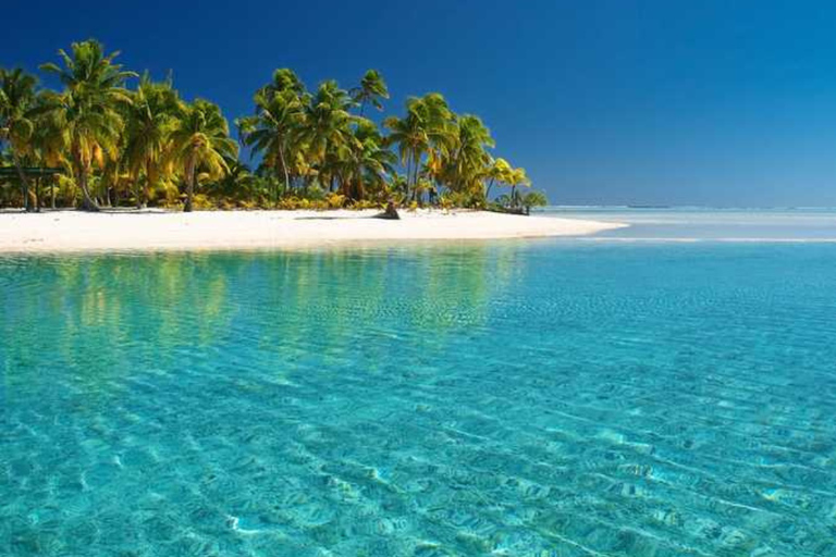 Punta Cana: Saona Island Classic Tour with Lunch & Drinks