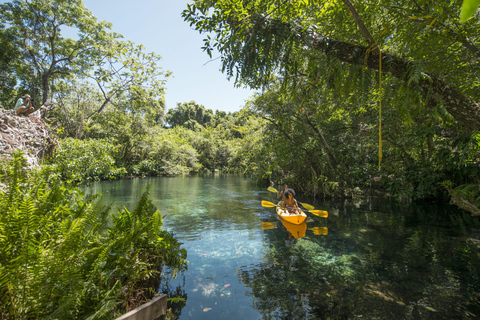 Puerto Plata: Dudu Lagoon, Monkeyland och Playa Grande Tour