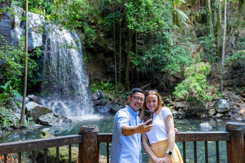 Gold Coast: Tamborine Mountain Premium Food & Wine Tour - Image 2