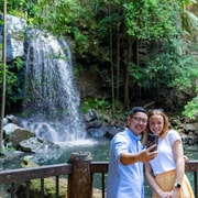Gold Coast: Tamborine Mountain Premium Food & Wine Tour