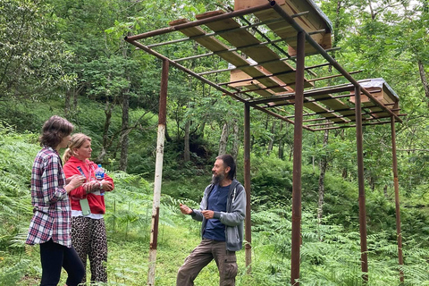 Batumi: Süßer Ausflug und Mtirala-Wald