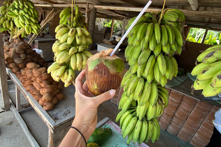 Salalah City Tour: Mosque, Al Gharif Project and Royal Farm