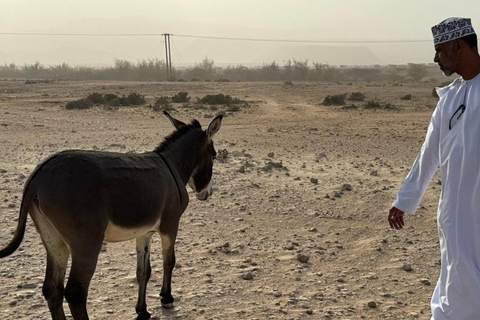 Oman Adventure Trail: From Mountains to Sea