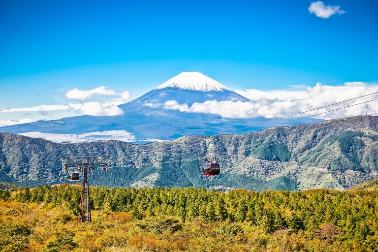Mt.Fuji & Hakone: bustour & terugkeer per bullet trainTour met lunch vanaf Matsuya Ginza