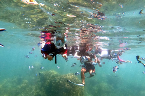 Phi Phi : Excursion d'une demi-journée à Phi Phi pour faire de la plongée en apnée en bateau à longue queue