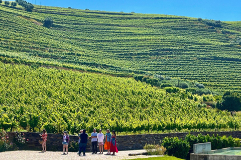From Porto: Small-Group Douro Valley Wine Tour Lunch & Boat