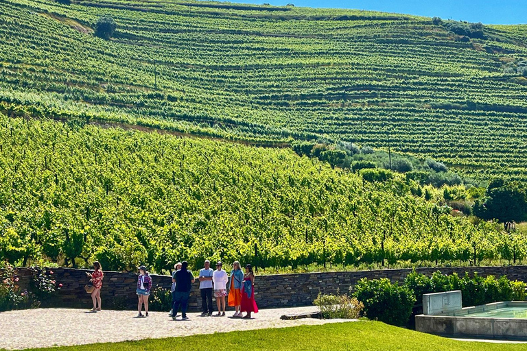 From Porto: Small-Group Douro Valley Wine Tour Lunch & Boat