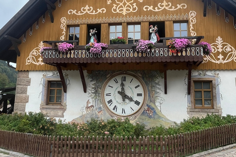 From Basel: Black Forest, Alsace & Colmar Private Day Trip