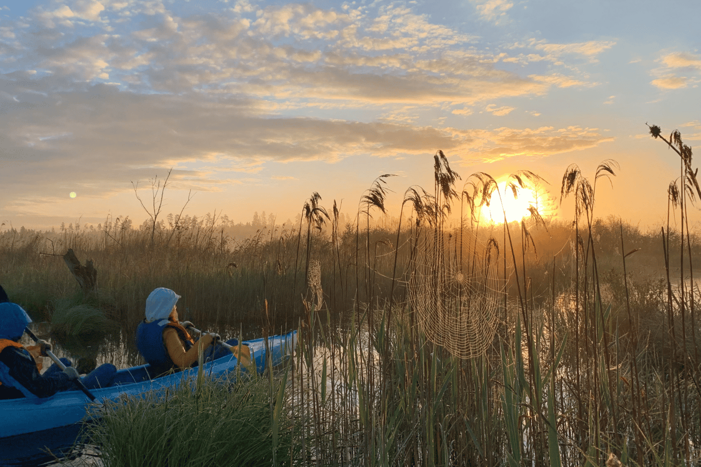 Da Riga: Tour in Kayak o Paddleboard all'Alba con Trasporto Incluso
