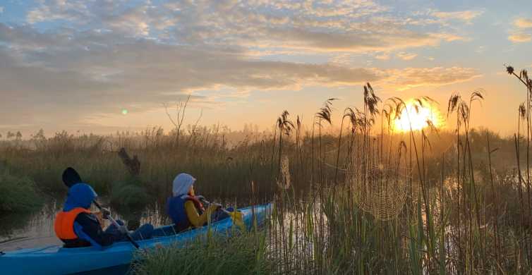 Riga: tour in kayak all'alba con servizio di prelievo, palude di Kemeri
