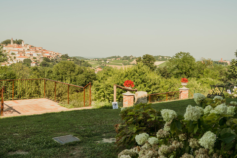 Monferrato: Wine Tasting and Guided Infernot Tour Monferrato: Wine Tasting and Guided Infernot Tour