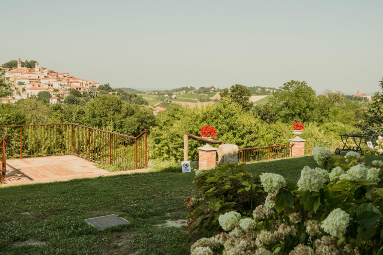 Monferrato: Wine Tasting and Guided Infernot Tour Monferrato: Wine Tasting and Guided Infernot Tour