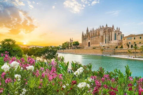 Privat heldagstur i Palma de Mallorca fra havnen