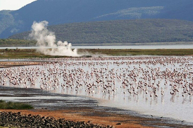 Lake Baringo: Boat Ride and Njemps Village Tour