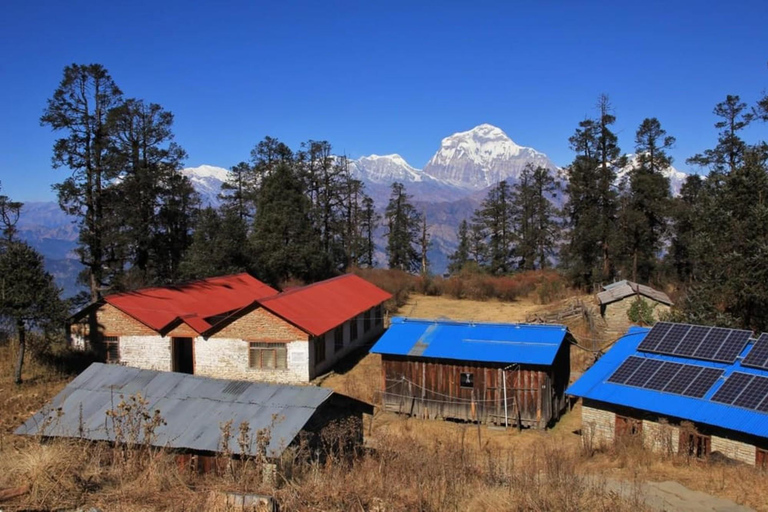 Mohare Danda Trek | 10 Days Trek | Nepal