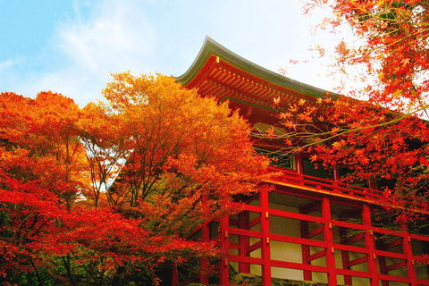 From Kyoto: Lake Biwa & Omi Hachiman Private Day Trip