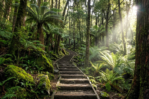 Blue Mountains Active Hike Tour from Sydney: No Rides Sydney: Blue Mountains Active Eco-Hike Tour (No Rides)