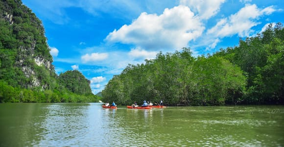 Krabi: Ao Thalane Mangrove Kayaking with Extras