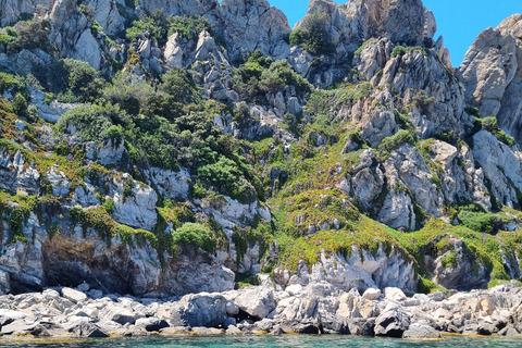 Boat trip around Porquerolles and Giens Day trip by boat around Porquerolles and Giens