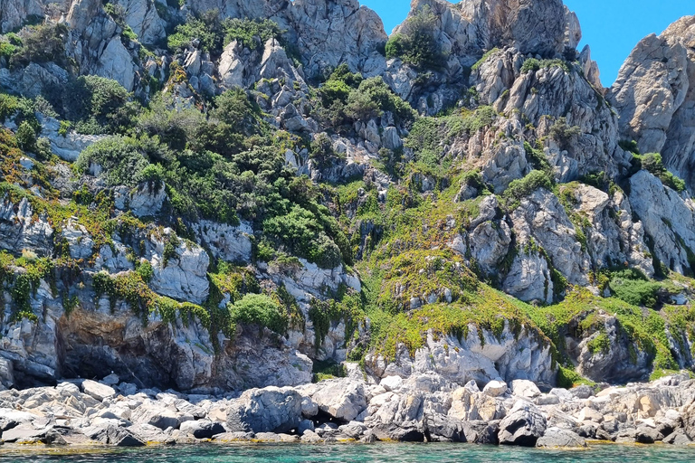 Boat trip around Porquerolles and Giens Day trip by boat around Porquerolles and Giens