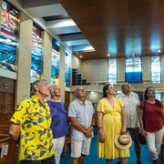 Cairns: Cairns City Sights & Surrounds Half-Day Tour
