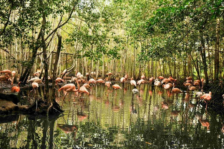 Cartagena National Aviary Private Tour