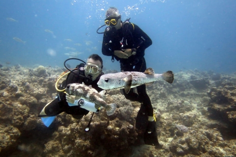 Mauricio: experiencia de buceo en la costa norte