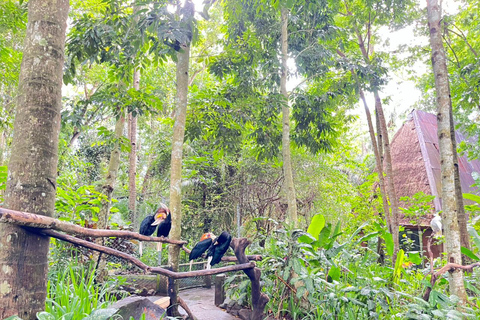 Lombok Wildlife Park and Sunset Escape Big Group