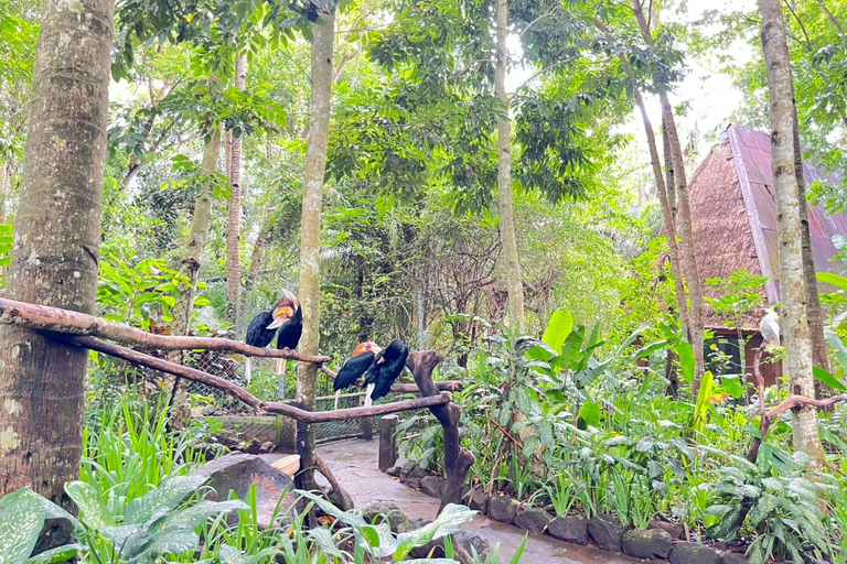 Lombok Wildlife Park and Sunset Escape Big Group