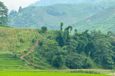 SA PA TREKKING 2D/1N DURCH NATUR UND KULTUR MIT LALA