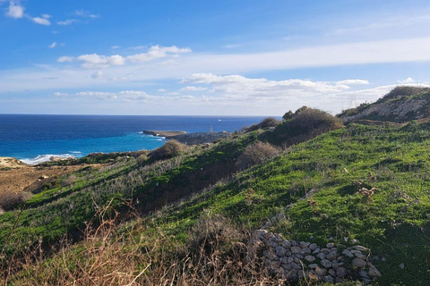 Norte de Malta: Passeio de quadriciclo com paisagens de terra, mar e natação