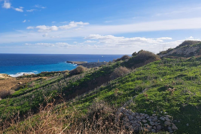 Norra Malta: Fyrhjulingstur med naturskönt land, hav och bad