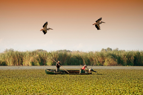 De Bucareste: Viagem de 1 dia ao Delta do Danúbio