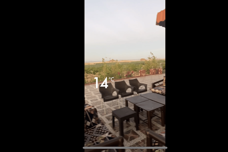 Makkah or Jeddah to Al-Hada, Al-Shafa, and Taif City Tour A journey full of experiences، learn about Saudi hospitality