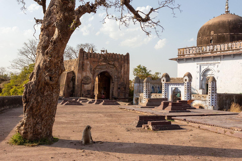 Jaipur: Jeep lub Canter Safari w Parku Narodowym Ranthambore