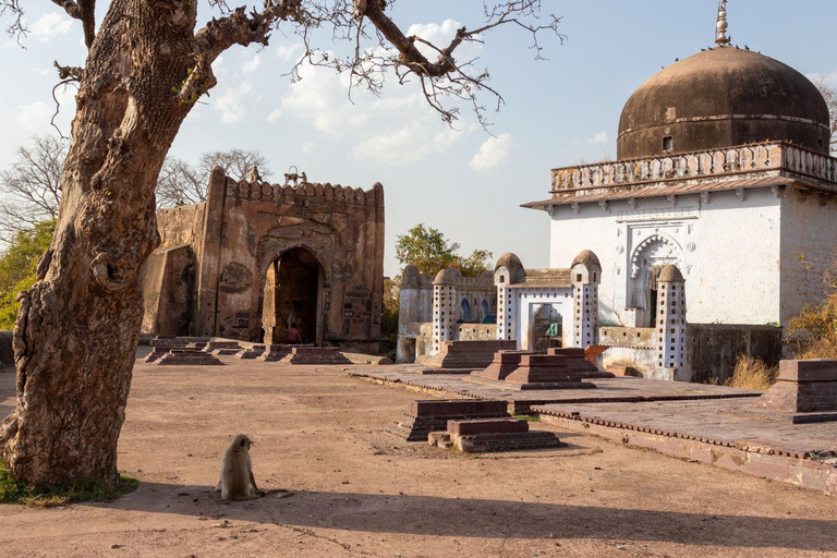 Jaipur: Jeep lub Canter Safari w Parku Narodowym Ranthambore