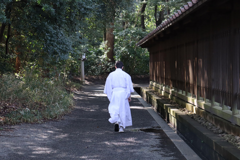 Tokyo Morning Highlights: Shibuya, Asakusa, Meiji-SchreinPrivate Tour