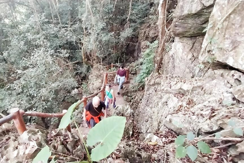 Half Day Hiking to Cat Ba National Park with a Guide