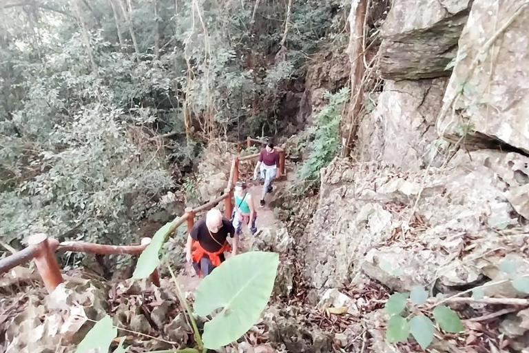 Half Day Hiking to Cat Ba National Park with a Guide