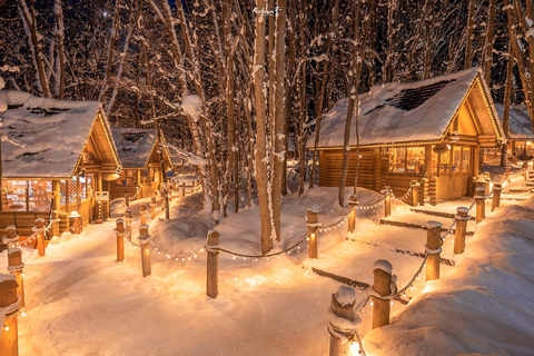 Asahiyama Adventure: Zoo+Waterfalls & Blue Pond Day Tour Meet at Exit 31 of Odori Park Subway Station