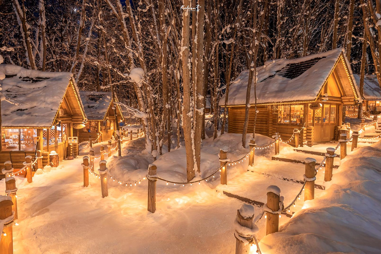Asahiyama Adventure: Zoo+Waterfalls & Blue Pond Day Tour Meet at Exit 31 of Odori Park Subway Station