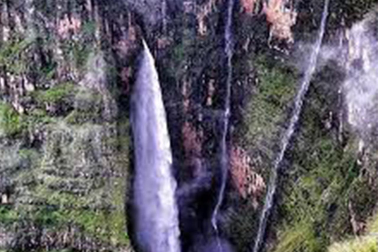 4-dniowa wędrówka po górach Simien z lotami