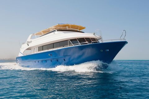 Hurghada: All-Inclusive Elite VIP Dolphin House & Massage Including Transfer from Hurghada