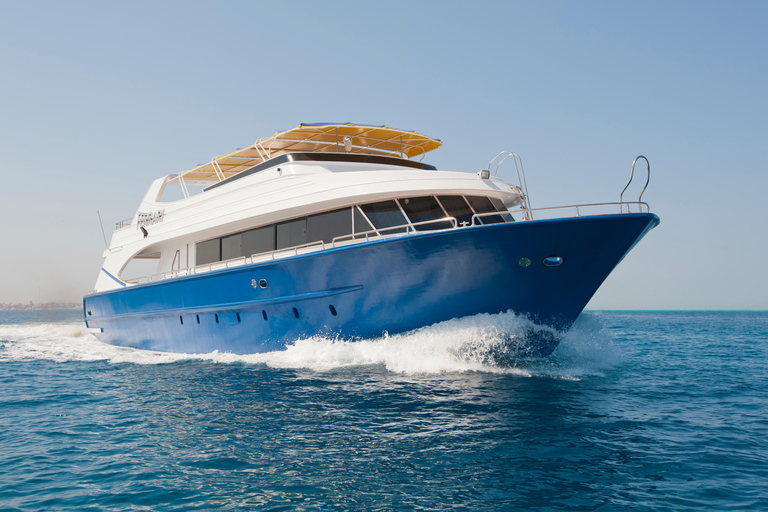 Hurghada: All-Inclusive Elite VIP Dolphin House & Massage Including Transfer from Hurghada