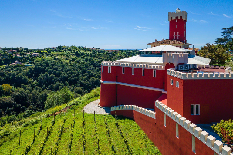 Degustazione di vini, Cannes, stilisti famosi e fabbrica di profumiCoco Chanel, fabbrica di profumi, Grasse, Cannes e degustazione di vini